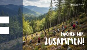 Baumpflanzaktion des Paritätischen im Landkreis Harz